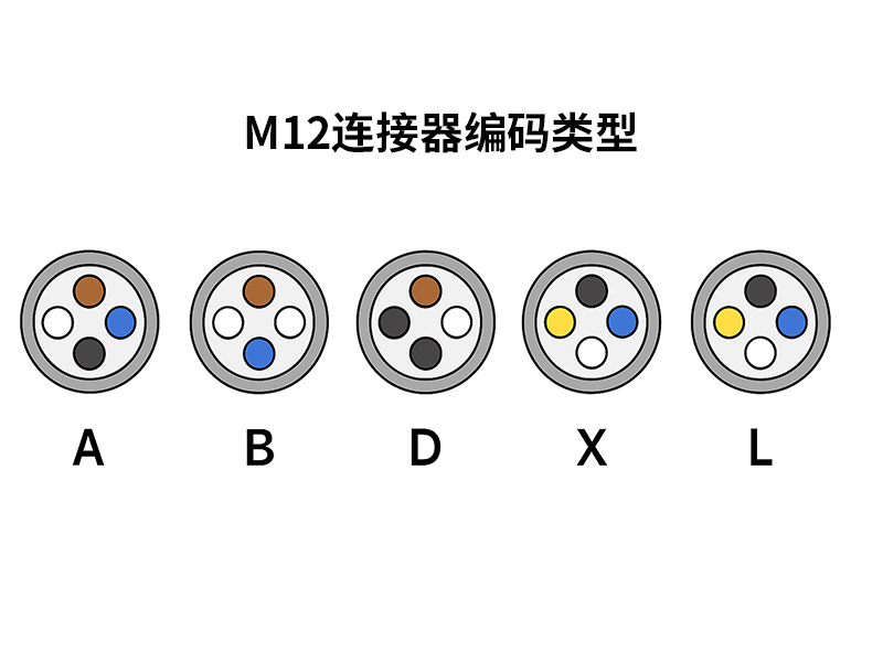 不同类型 M12 连接器编码（A、B、D、X、L）的引脚布局