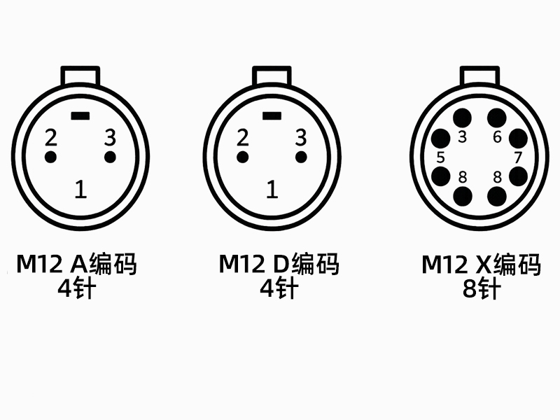 M12 编码类型接线图